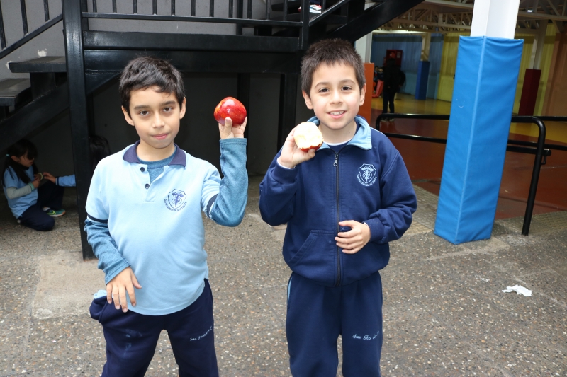 Día de la Actividad Física